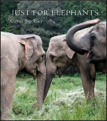 Just for elephants