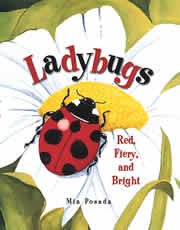 Ladybugs red fiery and bright