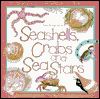 Seahells Crab and seastars