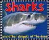Sharks and other dangers of the deep