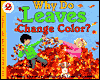 Why do leaves change color