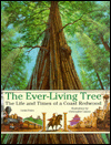 The Ever Living Tree